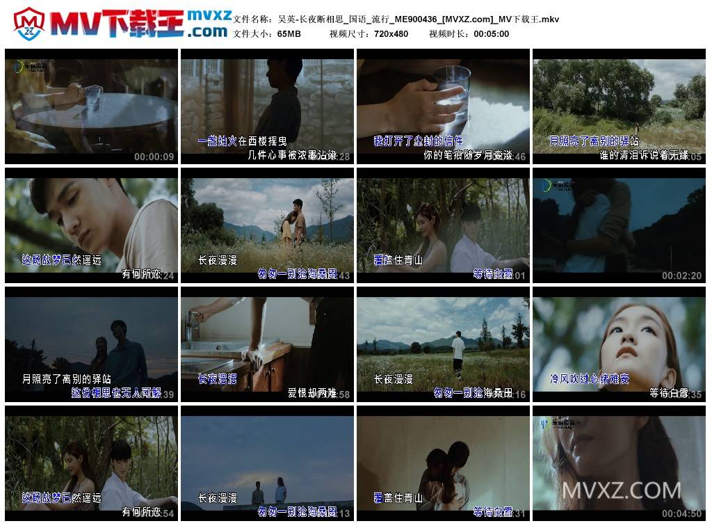 吴英-长夜断相思_国语_流行_ME900436